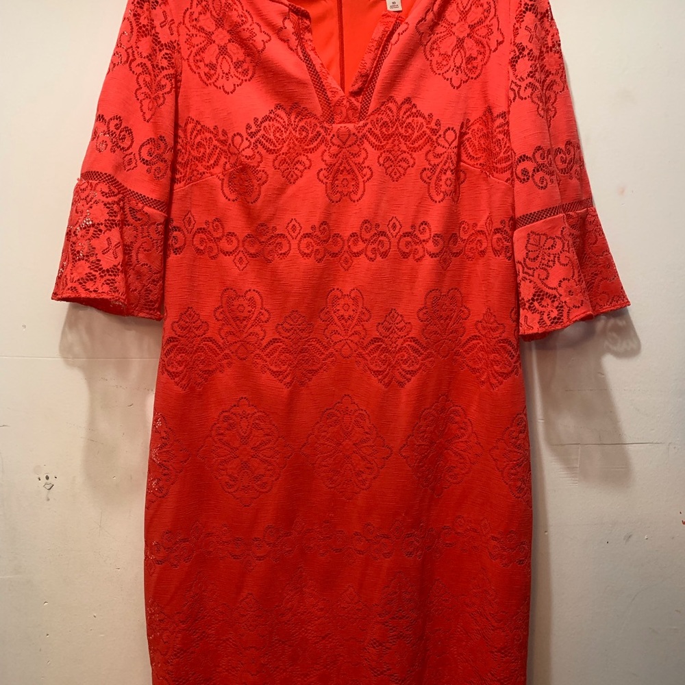 Established 1962 lace dress 10